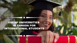 Top 15 cheap universities in Canada for international students in 2022