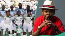 AFCON 2023: Osita Iheme advises Super Eagles ahead of game with Cameroon, calls them a strong team