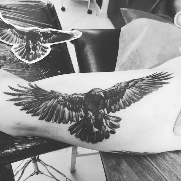 Raven tattoo: meaning and 50 design ideas - Legit.ng