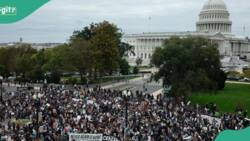 BREAKING: Apprehension as heavy protest hits US capitol over Israel - Palestine war, video emerges