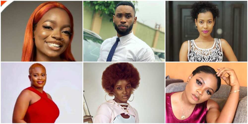 BBNaija: Arin, Tega, 4 Other Housemates Nominated for Possible Eviction