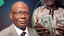 No more N1K/$: ABCON foresees stronger naira exchange rate against US dollar in 2024