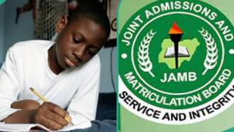 2024 JAMB results: Brilliant science students scores 271 in UTME, gets 75 marks in mathematics