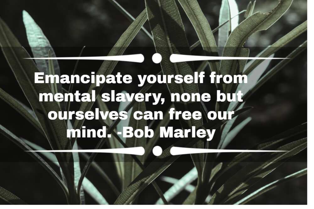 Hippie quotes about peace Hippie quotes about peace