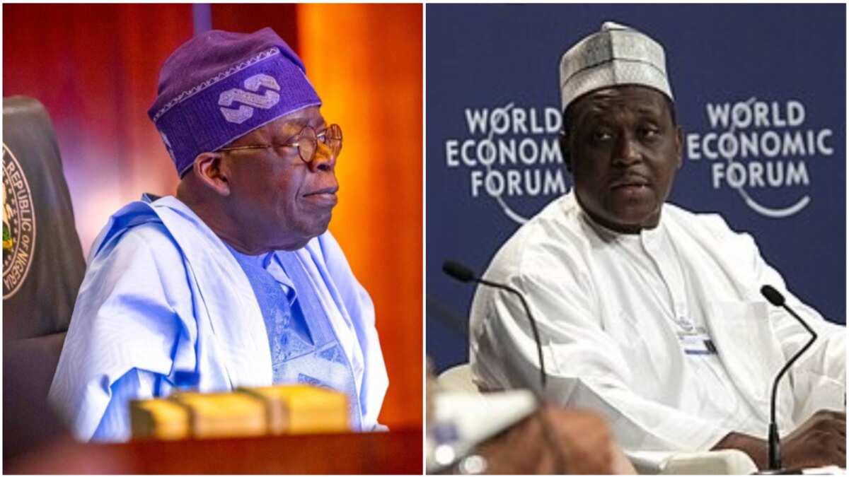 Ex-Jonathan's minister dumps top global position President Tinubu's appointment