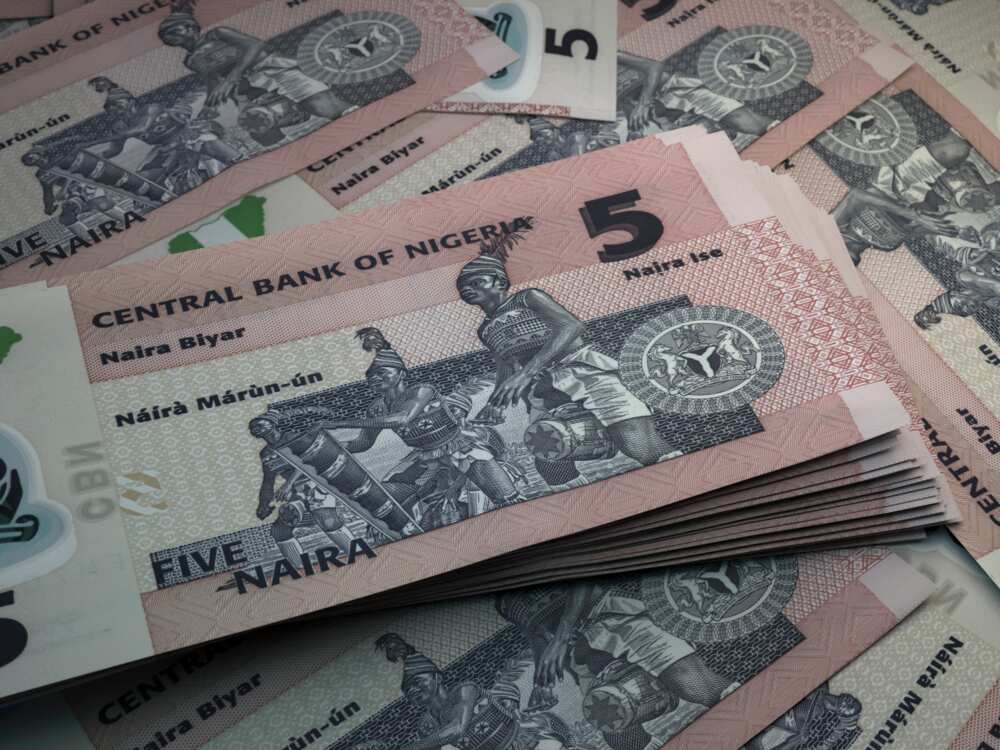 Nigerian currency notes and coins Nigerian currency notes and coins