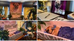 Man organizes posh burial for his dead dog, creates condolence register, stunning photos cause huge stir