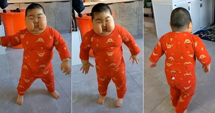 Chubby little child dances