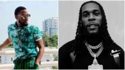 I am proud: D’banj says as he shares video of his favourite scene from Burna Boy’s stage performance