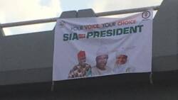 Presidential campaign posters of former APC governor surface floods the streets