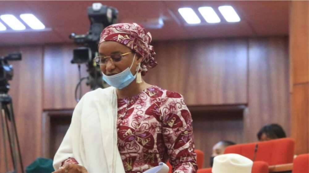 Senator Aishatu Binani, Female APC Governorship Candidate, Adamawa State