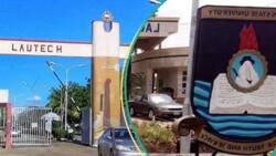 2024 latest rankings: List of top 10 state universities in Nigeria