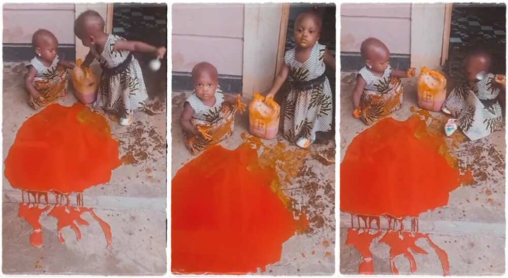 Images of dual babies who spilt their mother's palm oil. Images of dual babies who spilt their mother's palm oil.