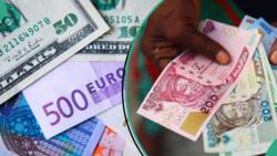 Boost for the naira as foreign reserves gain $262 million, highest in three weeks