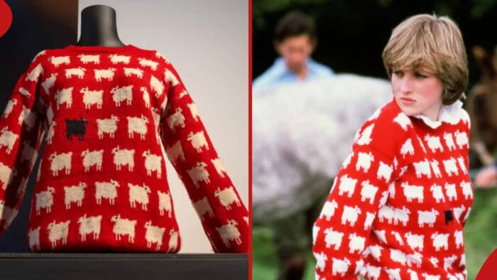 Princess Diana’s sheep sweater sells for record-breaking N863m at auction
