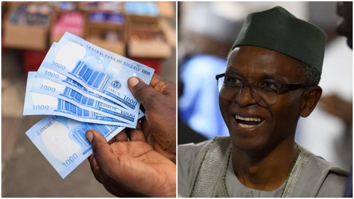 Why naira redesign policy can't stop vote-buying: El-Rufai makes stunning revelation