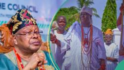 "Where is Oba of Lagos?": Mixed reactions as salaries of Ooni, Alaafin, Alake, others emerge