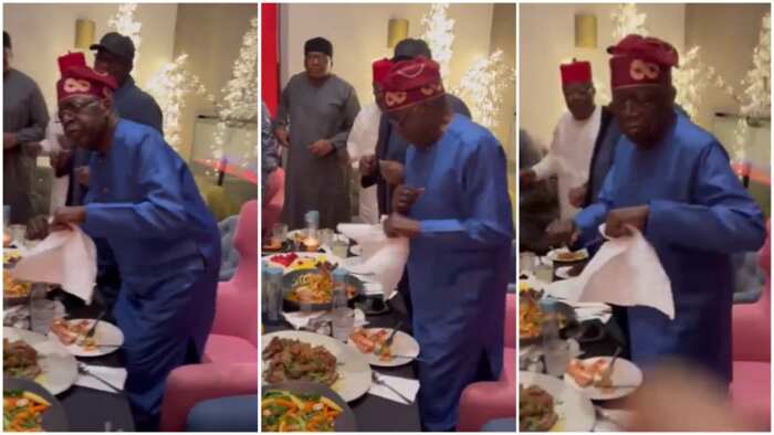 Hilarious Videos as Tinubu Dances to Kizz Daniel's 'Buga' after Chatham  House Outing - Legit.ng