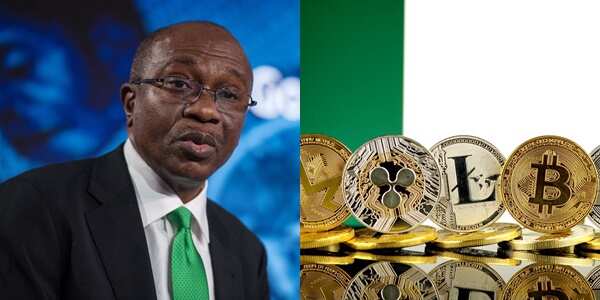 Nigerians react as CBN says cryptocurrency is activities of players from "dark world" in viral video