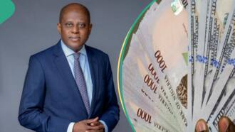 Analysts see naira nearing N1,000/$ in 2024 as Access, GTB, others get new interest rate
