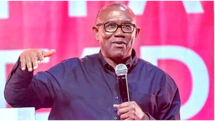 2023: Why northerners should campaign, vote for Peter Obi, Ex-presidential aspirant reveals