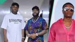 “Your oga dey fly jet anytime?” Reactions as Isreal DMW hypes Davido, Wizkid FC carpets him