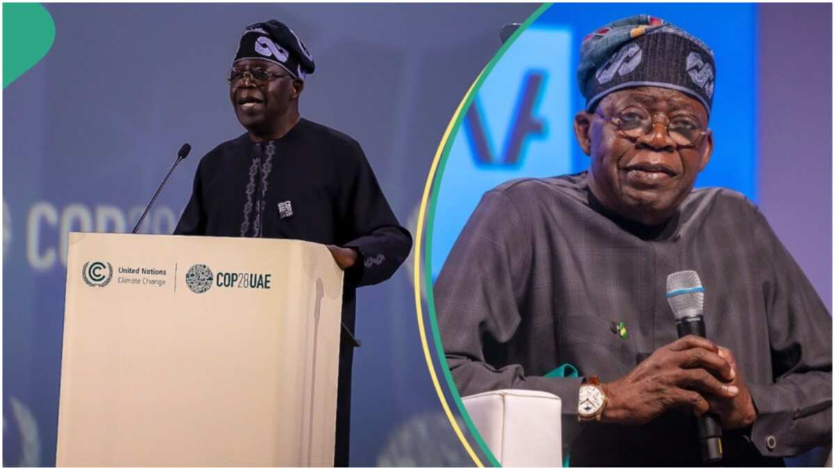 Revealed: Why Tinubu should pay ransom to kidnappers