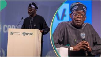 Moment Tinubu laughs uncontrollably as old video of Gbenga Adeboye emerges