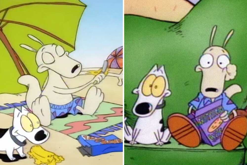 Cartoons from the '90s and early 2000s