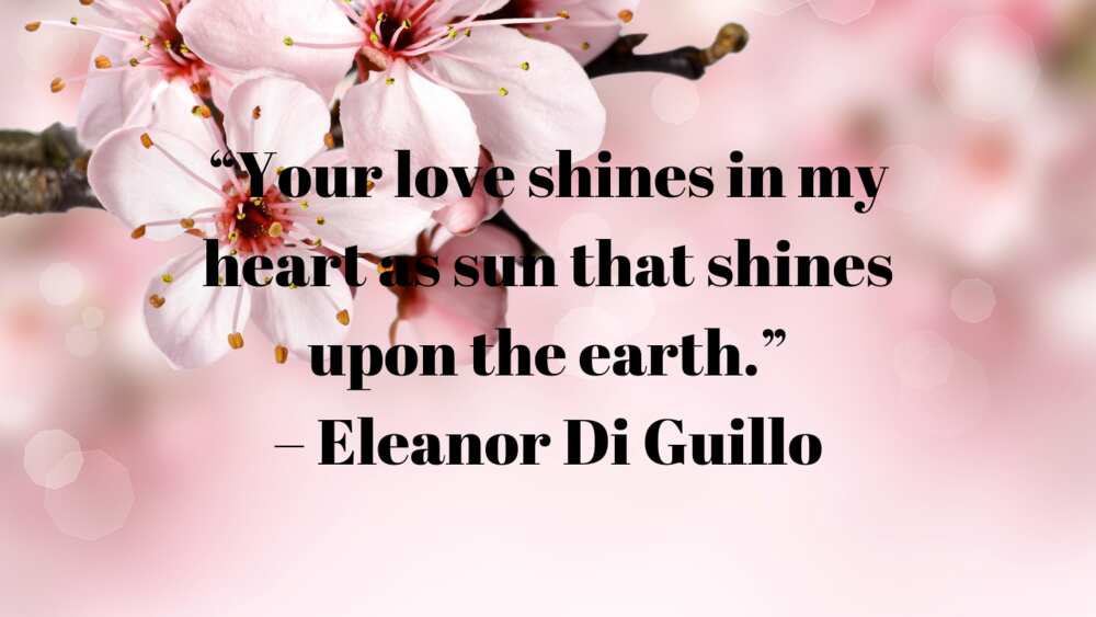 Little love quotes Little love quotes