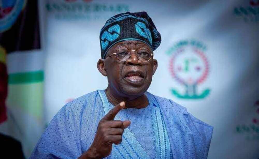 APC, South-Tinubu APC, South-Tinubu