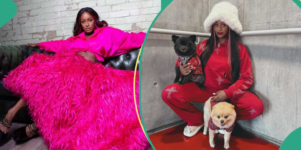 DJ Cuppy and her dogs