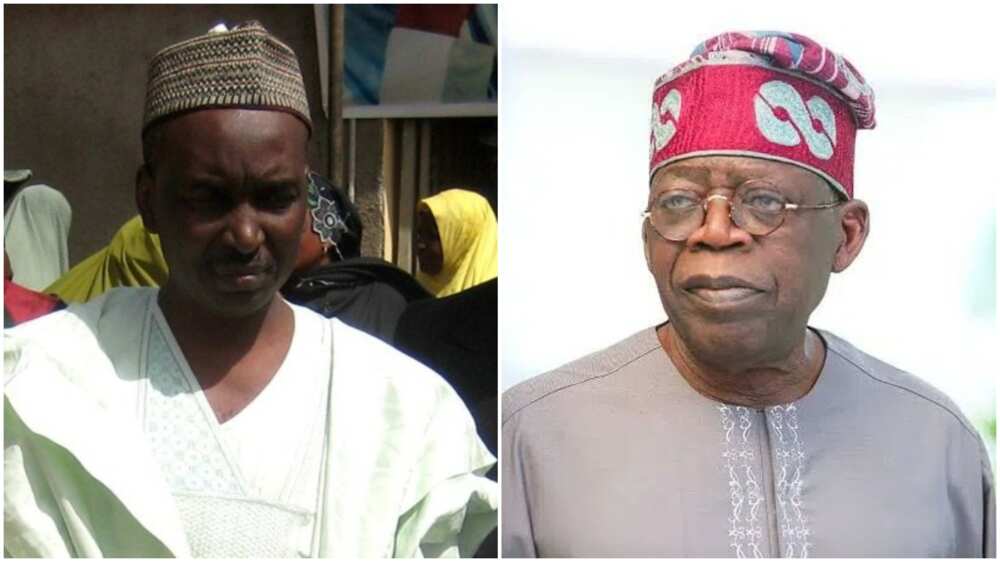 Tinubu Speaks with Me after I Resigned as DG of APC Governors' Forum, Salihu Lukman Says