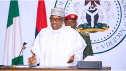 May 29: 4 major issues that threatened Buhari's administration