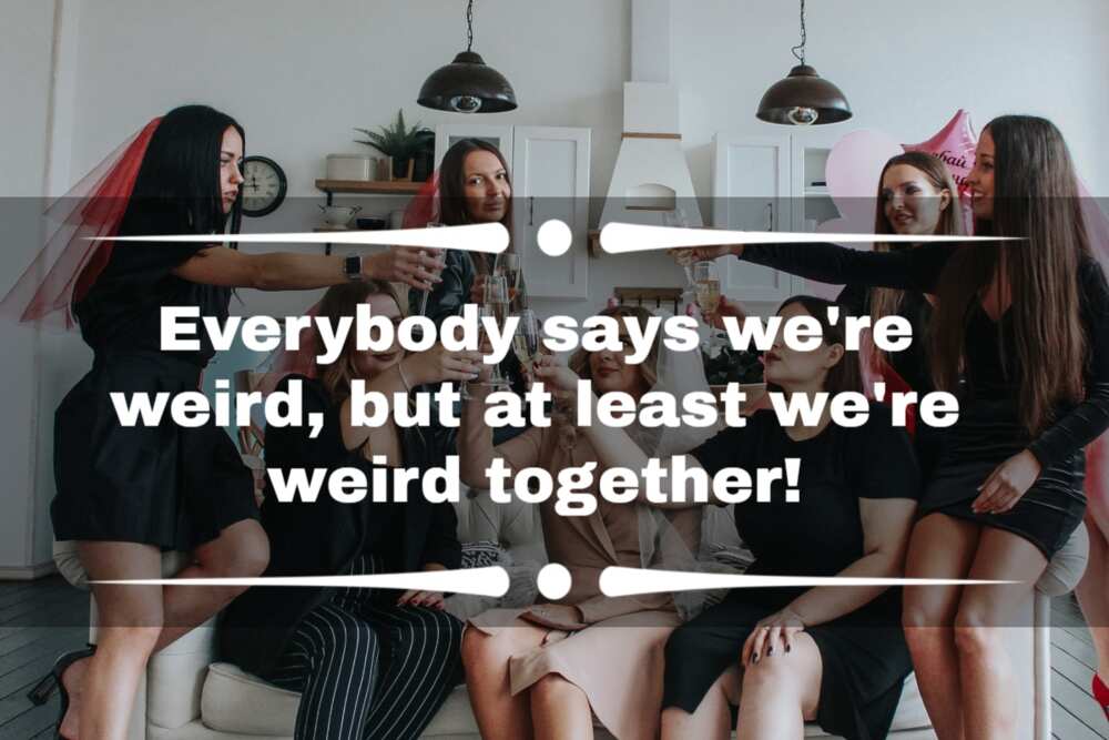 cute bios for tiktok cute bios for tiktok