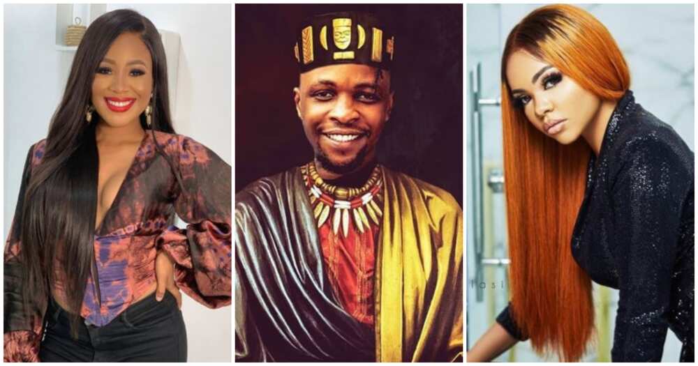 BBNaija: Laycon, Nengi and Erica dominate Google searches