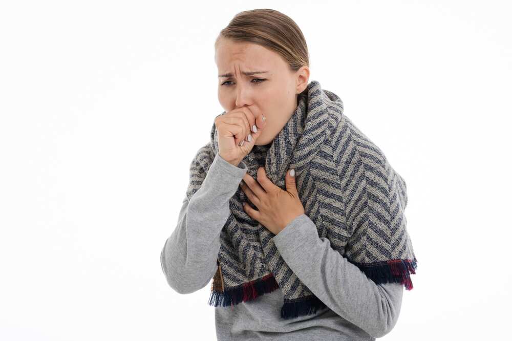 hantavirus symptom hantavirus symptom