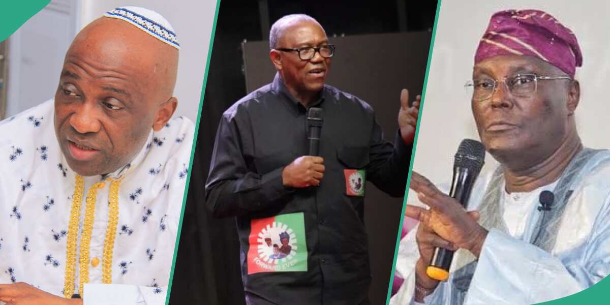Why Peter Obi, Atiku should not go to Supreme Court, Primate Ayodele reveals