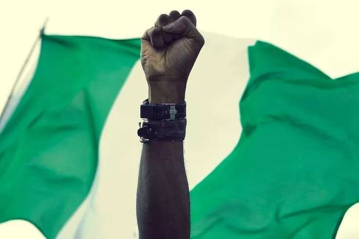 Nigerian flag and hand