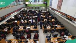 Nigerian stocks traders make N390bn in 5hrs as expert express concern after CBN interest rate hike
