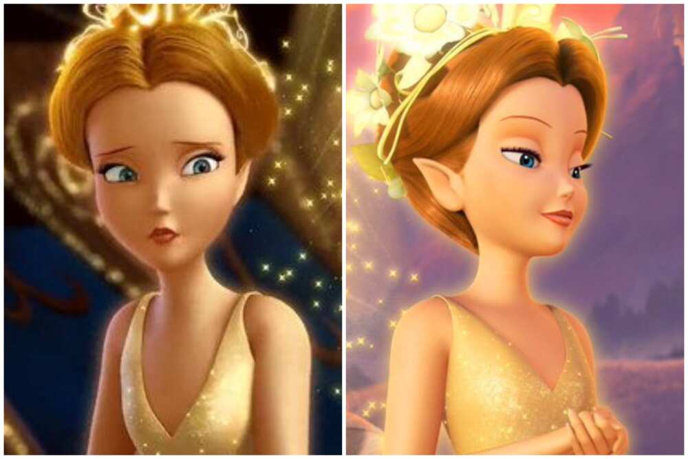 Tinkerbell characters