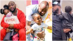 Obsessing over your children can do you more harm than good: Man tells Davido as he declares love for his kids