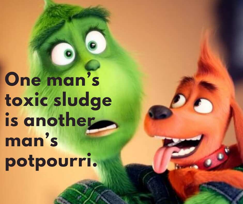 Grinch quote Grinch quote