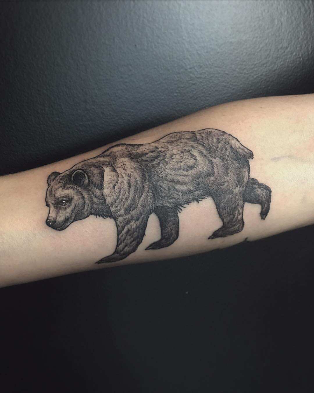 Tattoo tagged with: small, bear, arm, black, animal, tiny, little, adria de  yzaguirre, nature, blackwork, wrist, forearm, illustrative, polar bear |  inked-app.com