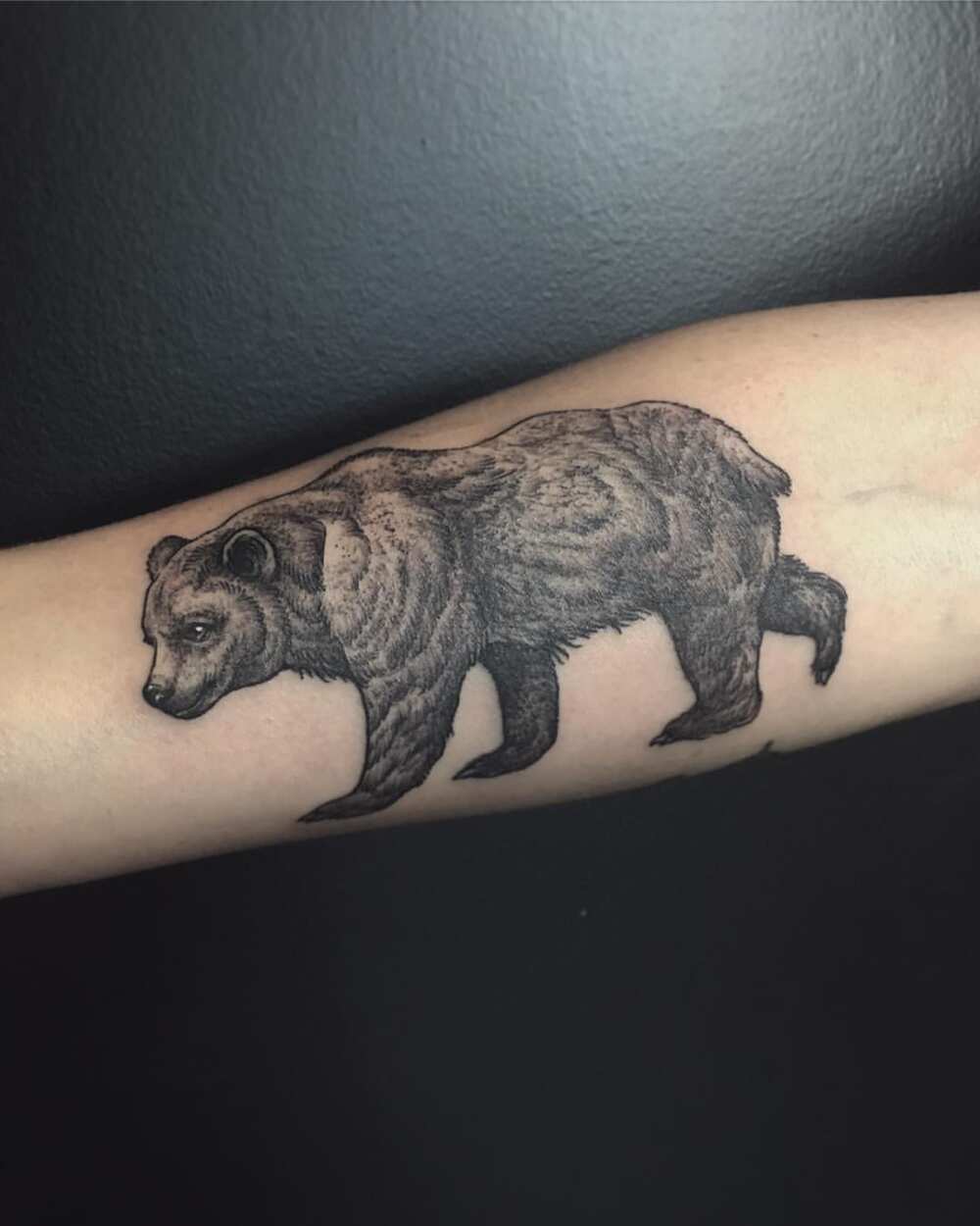 bear tattoo