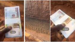 I dirty my hand for clean money: Man sings in cute video, shows huge cash he made working in construction site