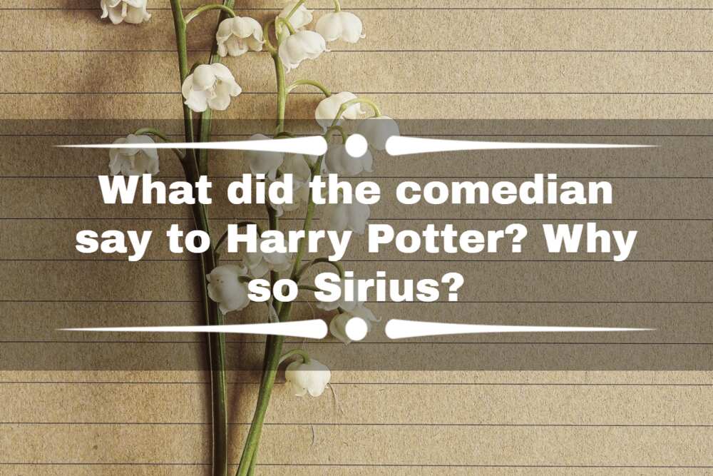 Funny Harry Potter jokes