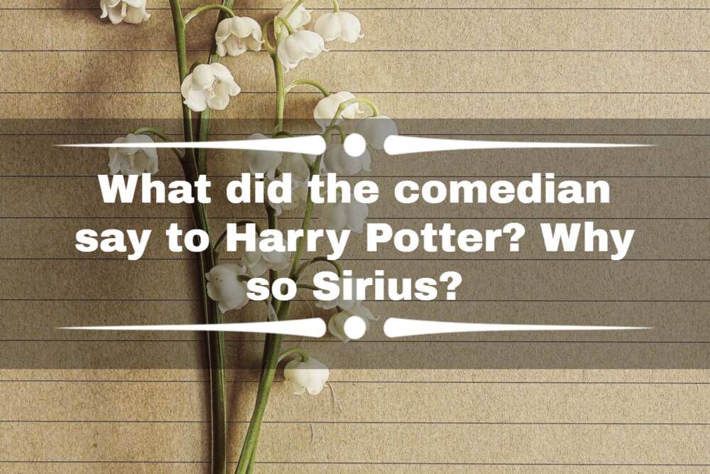 38 Harry Potter Jokes That Are So Bad, They're Good - ScoopWhoop