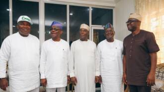 2023: PDP big wigs approve formation of presidential campaign council