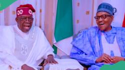 SDP presidential candidate reveals 1 Buhari's big mistake Tinubu is making